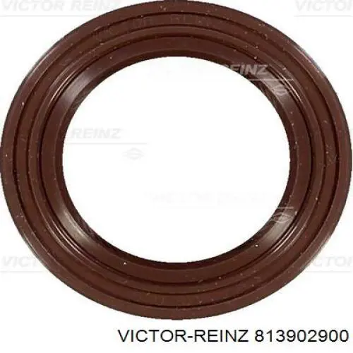 Cadena de distribución Victor Reinz 813902900 precio, desde 9,62 EUR