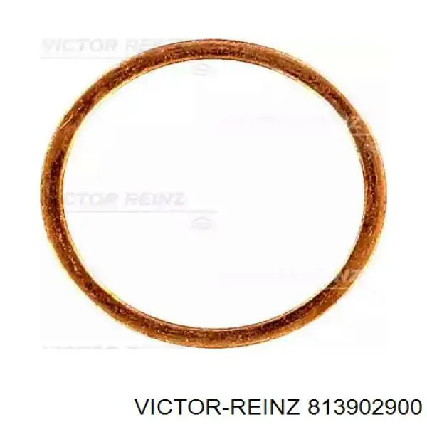 Comprar 813902900 Victor Reinz Cadena de distribución