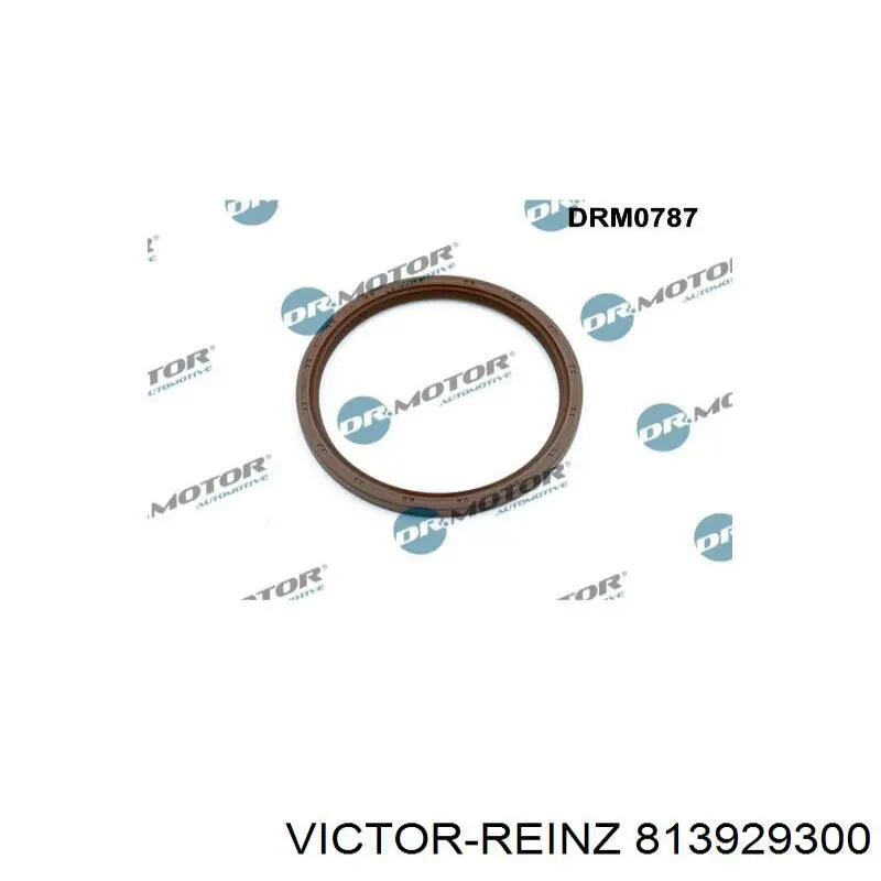 31251856 Volvo Anillo retén cigüeñal