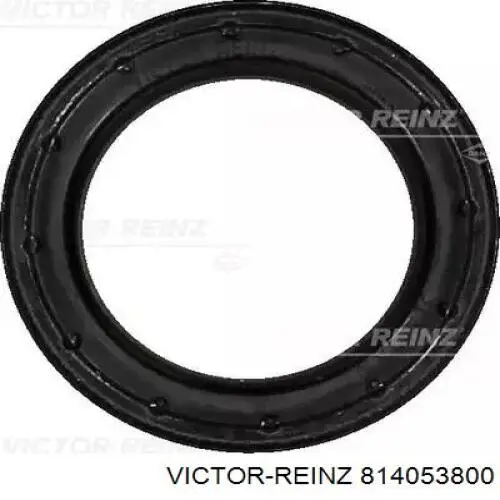 Comprar 814053800 Victor Reinz Retén, árbol de levas