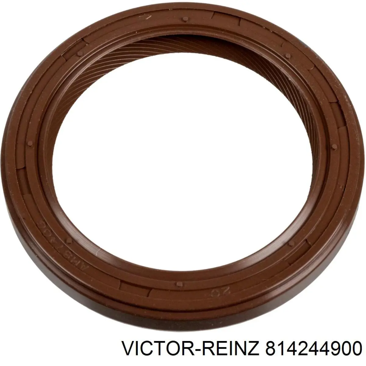 Retén de cigüeñal frontal Victor Reinz 814244900 precio, desde 10,40 EUR