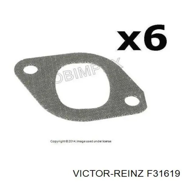 F31619 Victor Reinz