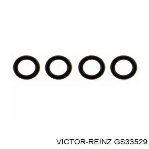 GS33529 Victor Reinz