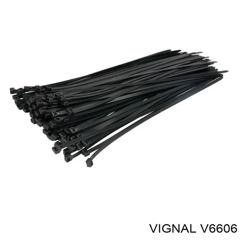 V6606 Vignal