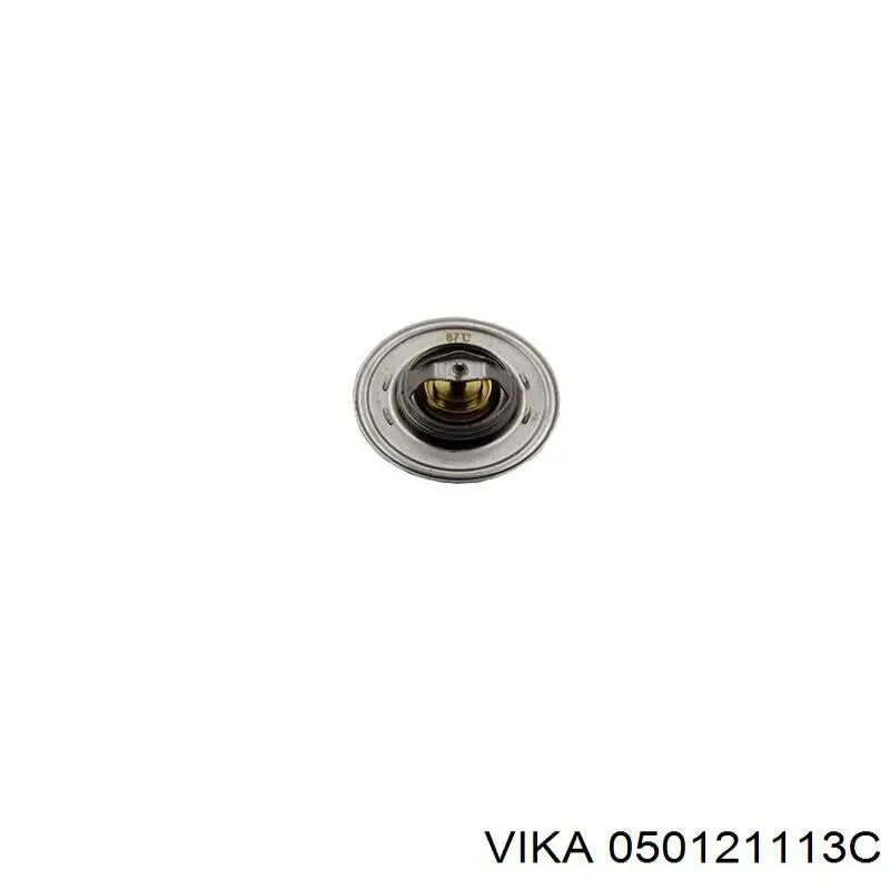 050121113C Vika