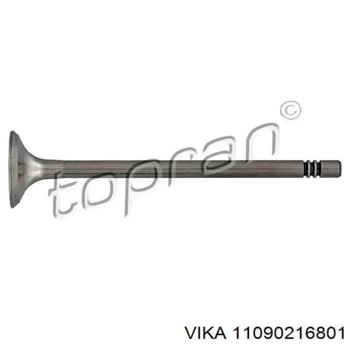 Válvula de escape Vika 11090216801 precio, desde 7,03 EUR