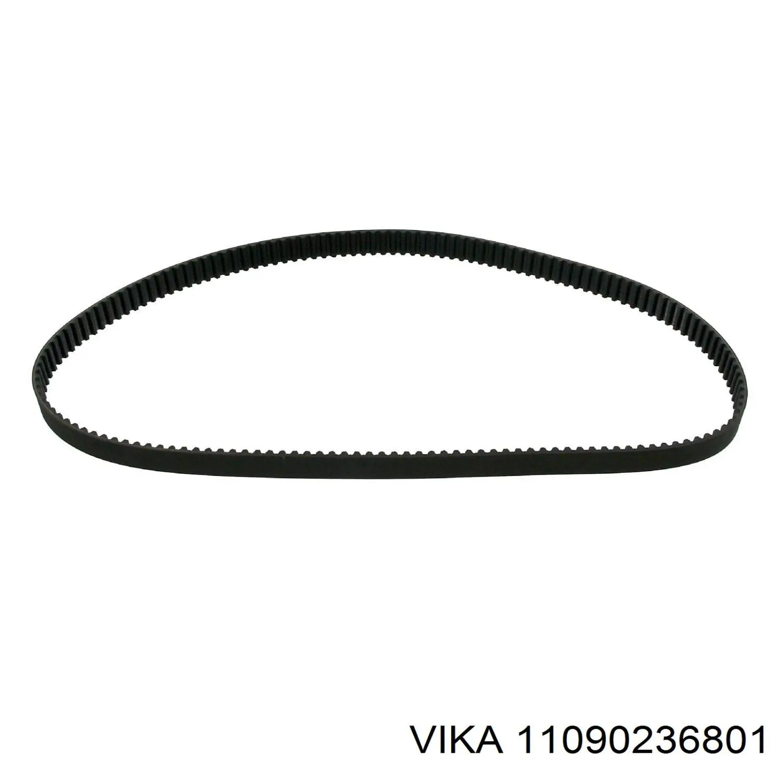 Tensor de la correa de distribución Kamoka R8005