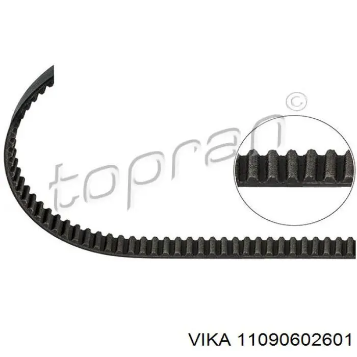 Correa distribucion Skoda Felicia 1 791, 6U1