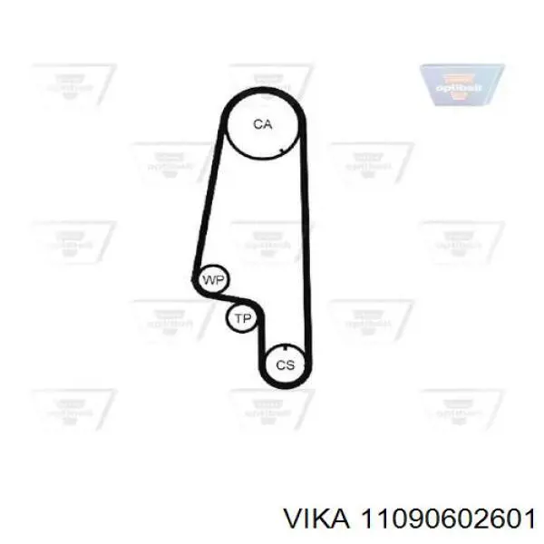 Correa distribucion Skoda Felicia 1 791, 6U1