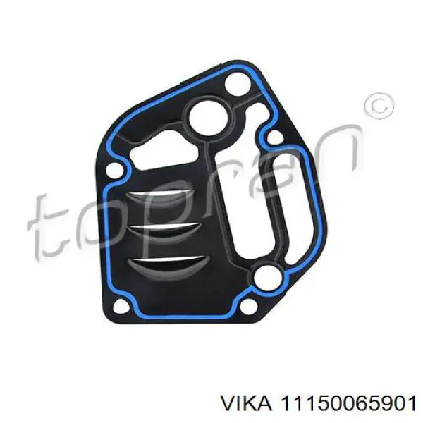 Junta del adaptador del filtro de aceite Volkswagen Bora (1J2)