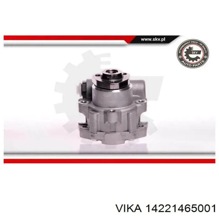 Bomba de dirección asistida  Vika 14221465001 precio, desde 34,85 EUR
