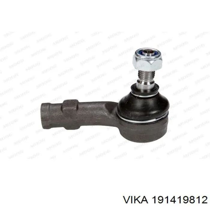 191419812 Vika