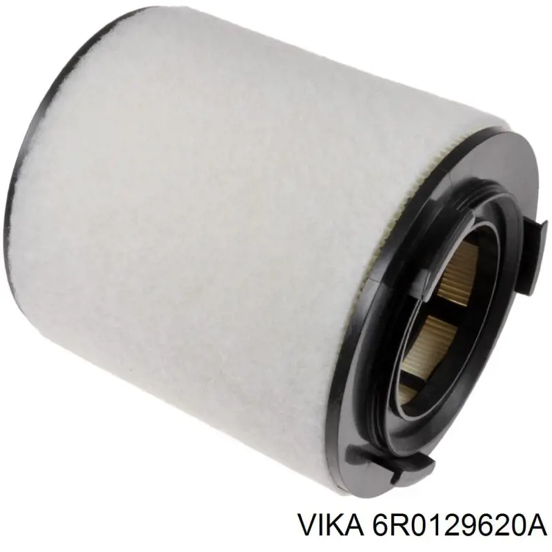 6R0129620A Vika