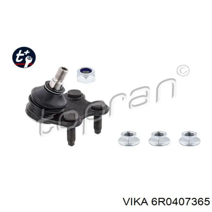 6R0407365 Vika