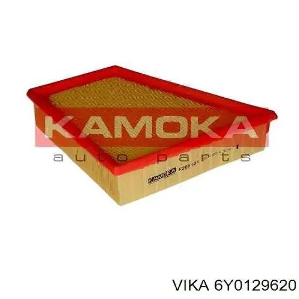 6Y0129620 Vika