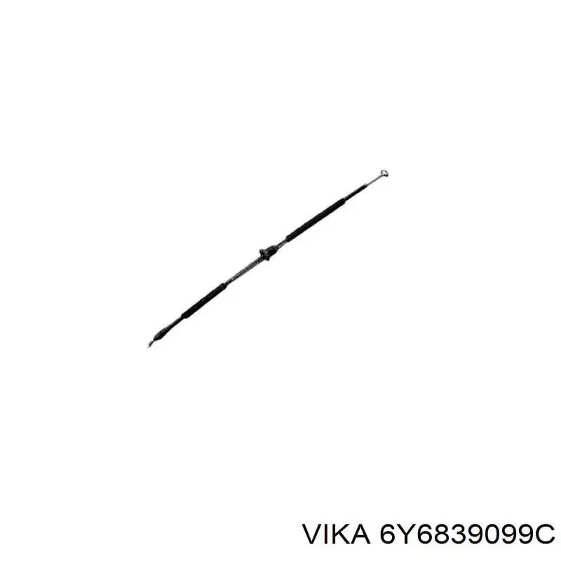 6Y6839099C Vika