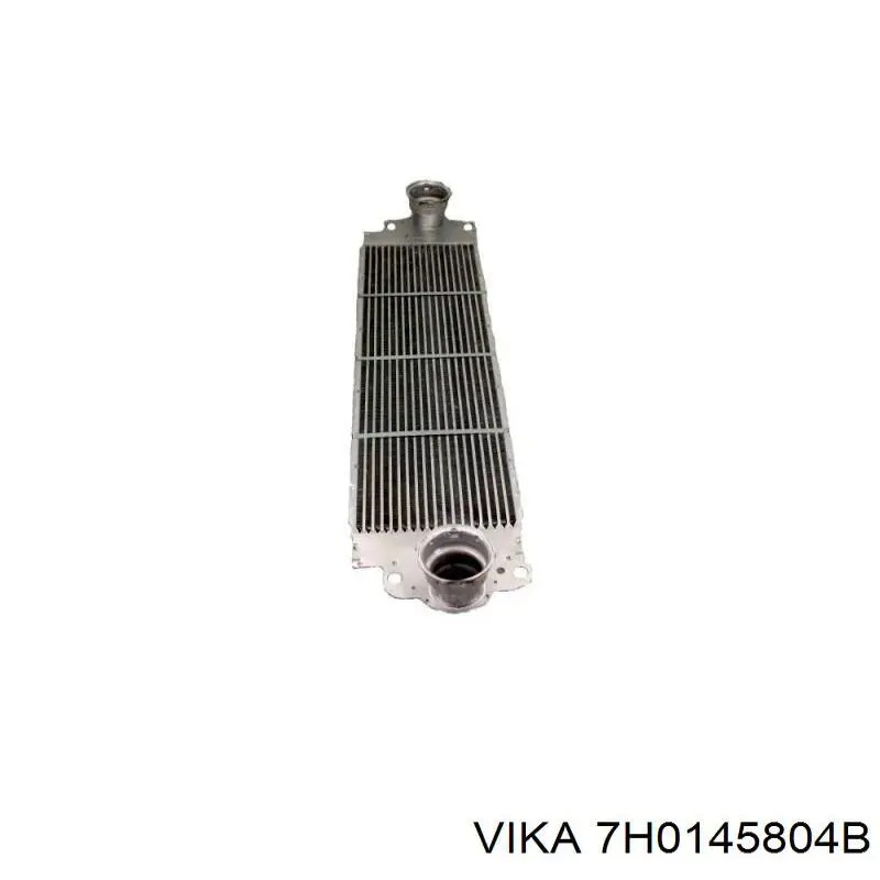 7H0145804B Vika