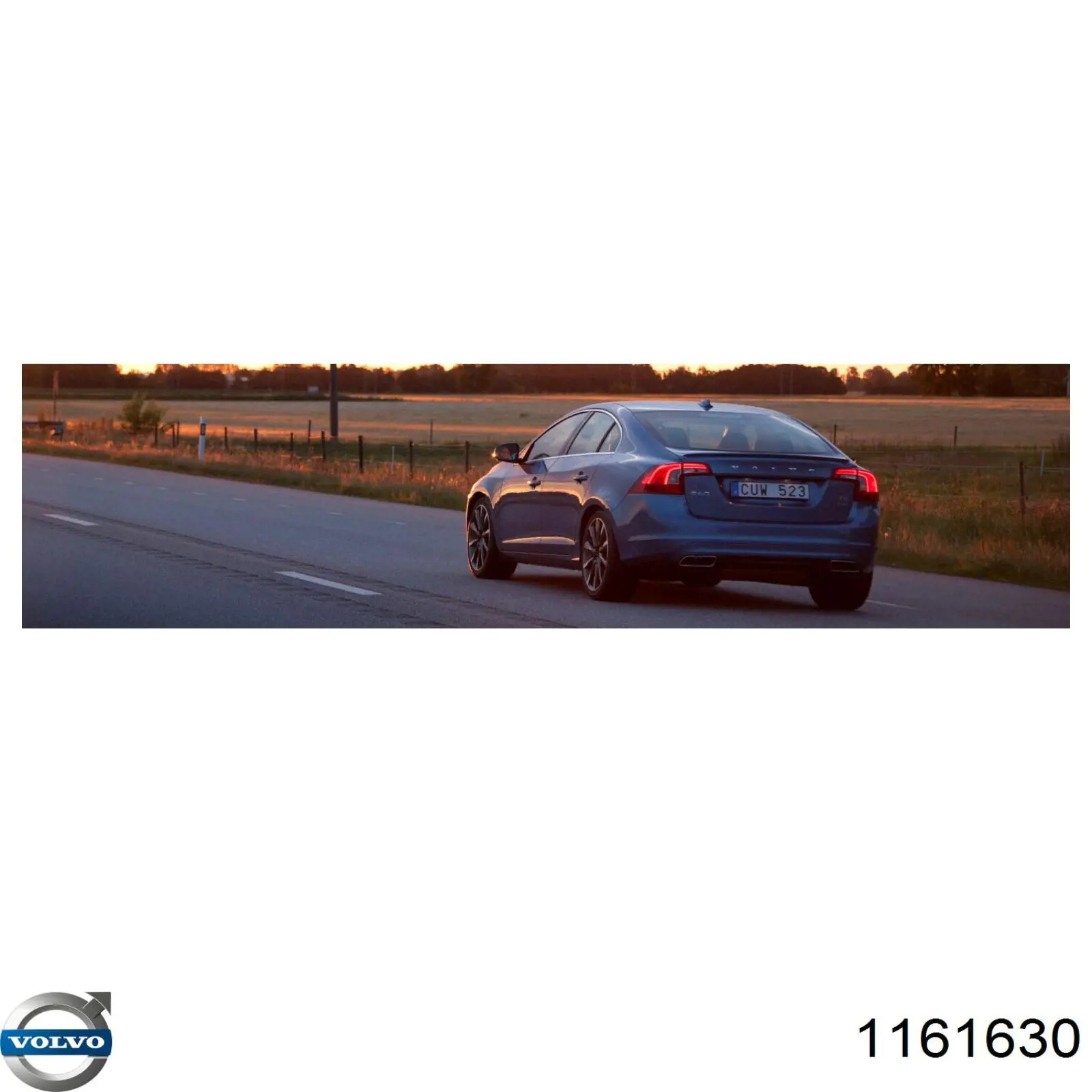 Aceite de motor 1161630 Volvo