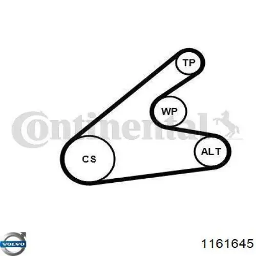 Aceite para transmisión automática  Volvo 1161645 precio, desde 28,03 EUR