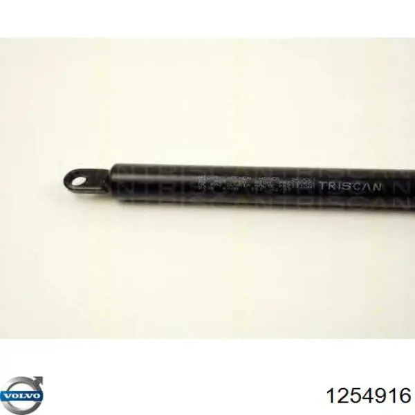 Amortiguador de maletero Volvo 1254916 precio, desde 19,22 EUR