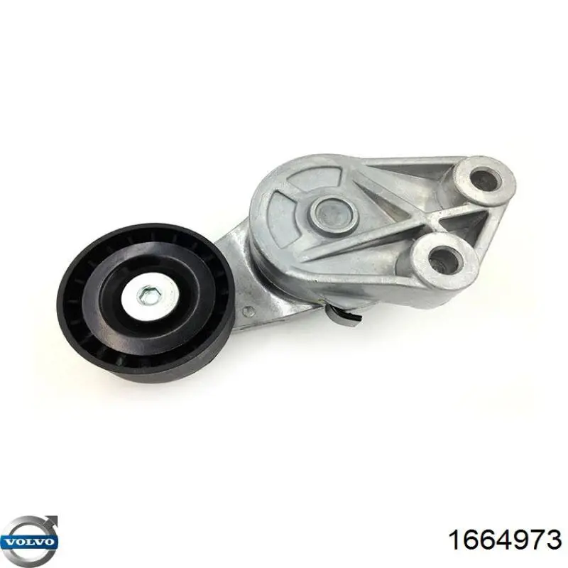 Comprar 98207303 Laso Tensor de la correa trapecial