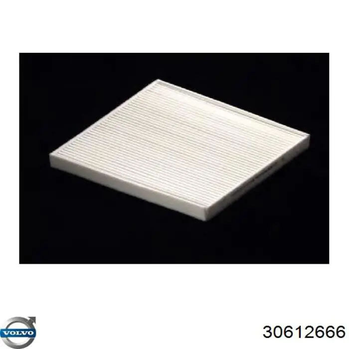 Filtro de polen Volvo 30612666