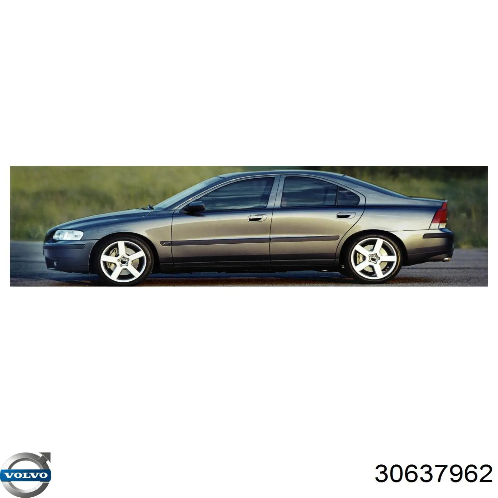Rodillo tensor correa poli V Volvo 30637962 precio, desde 12,17 EUR