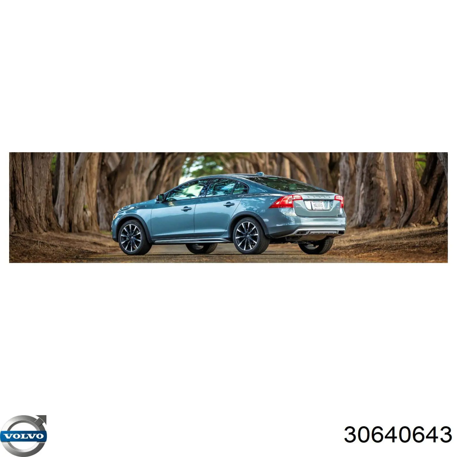 Comprar 30640643 Volvo Soporte de umbral