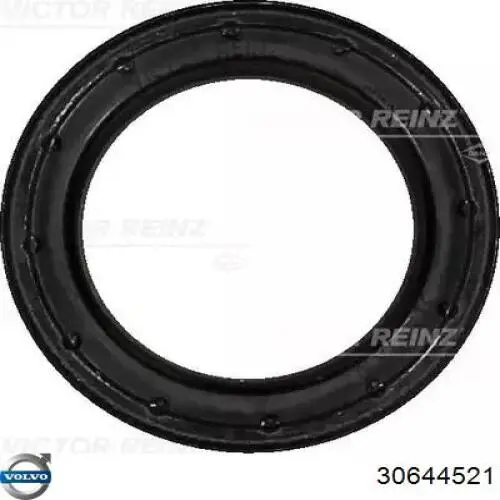 Comprar 30644521 Volvo Sellador de silicona