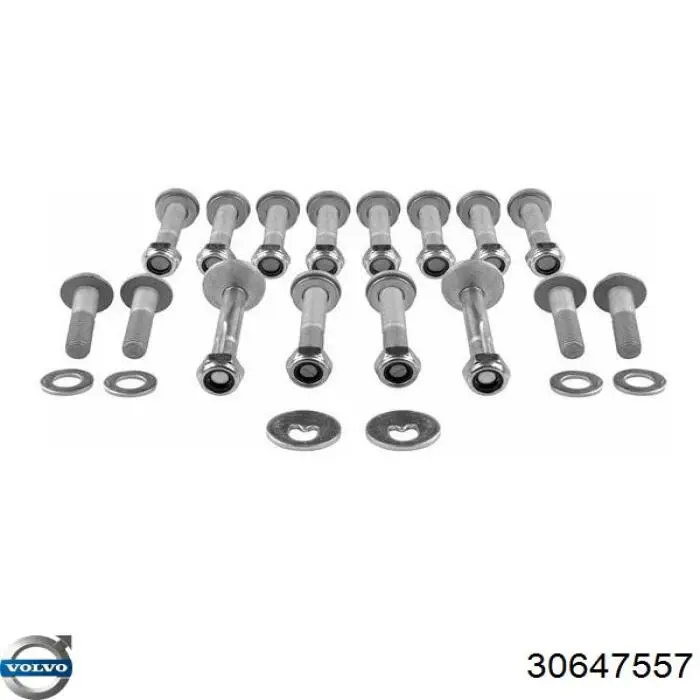 Perno de sujeción de la abrazadera del estabilizador Volvo 30647557 precio, desde 7,84 EUR