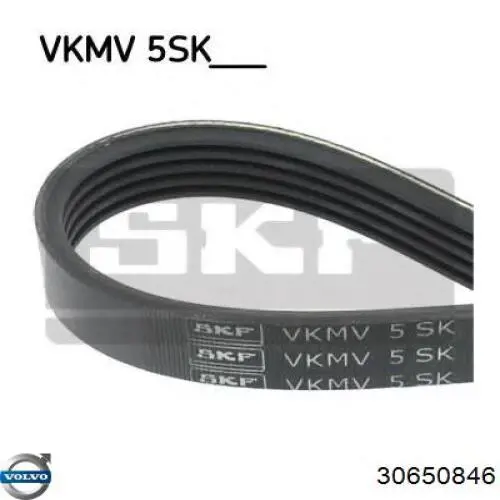 Correa de transmisión trapezoidal Volvo 30650846 precio, desde 15,79 EUR