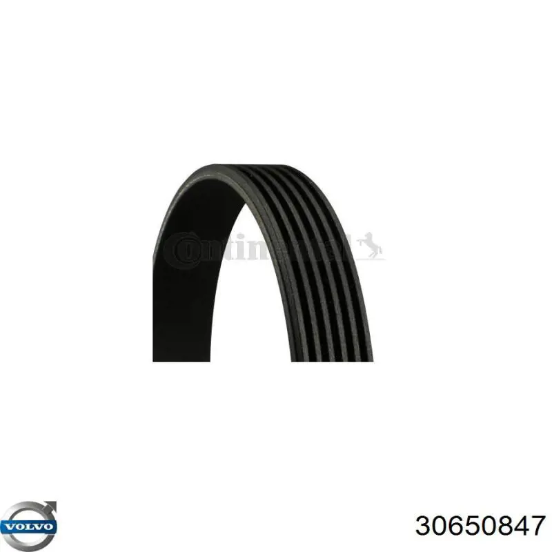 Correa de transmisión trapezoidal Volvo 30650847 precio, desde 13,36 EUR