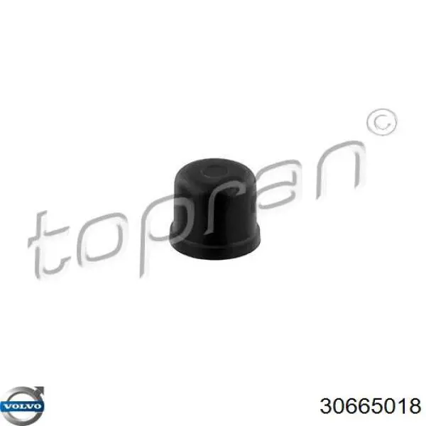 Comprar 30665018 Volvo 
