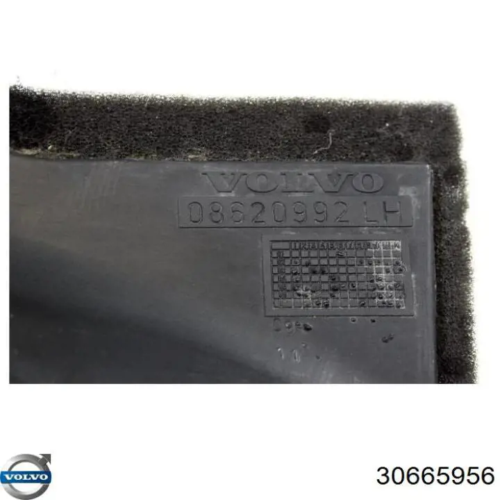 Comprar 30665956 Volvo 