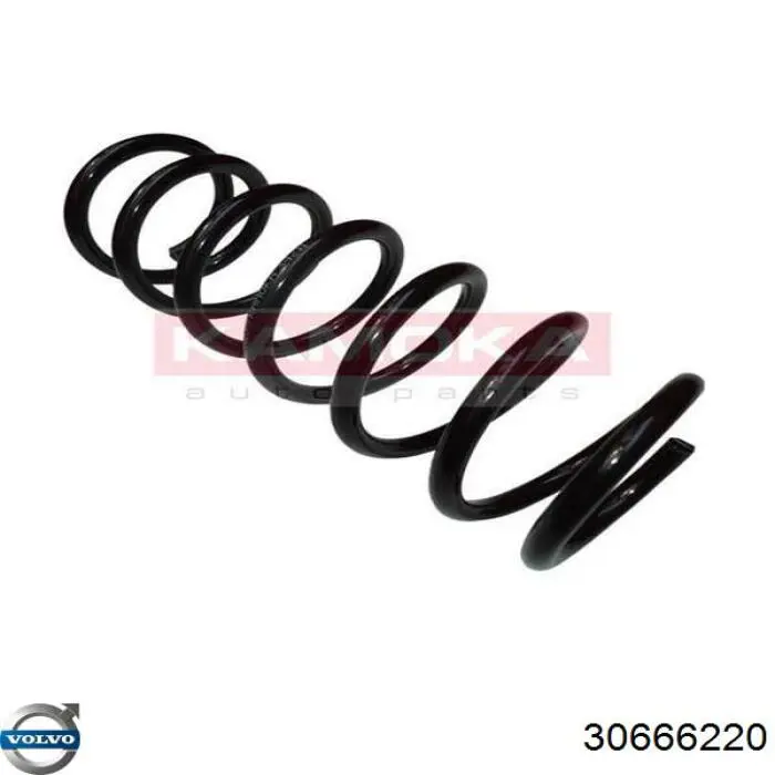 Muelle 30666220 Volvo