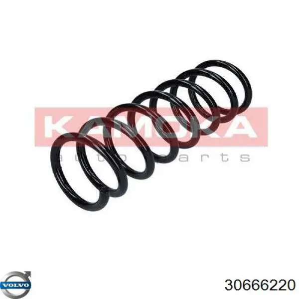 Muelle de suspensión trasero Volvo 30666220 precio, desde 36,26 EUR