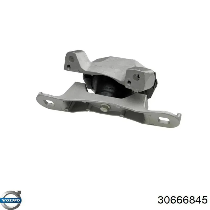  Volvo 30666845 precio, desde 23,44 EUR