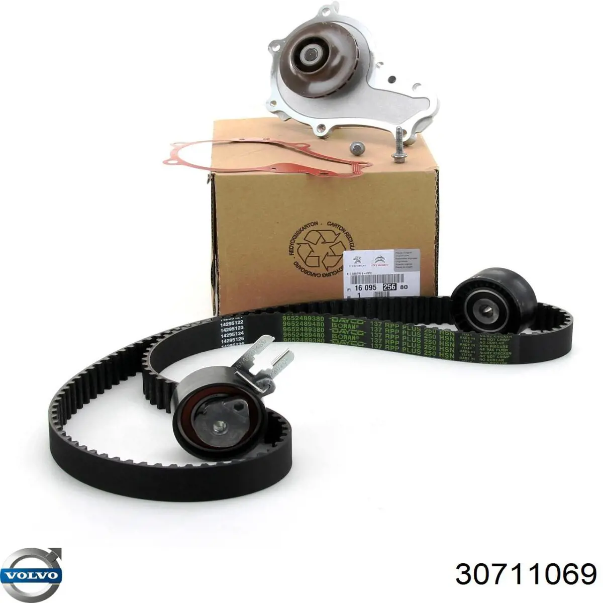 Rodillo intermedio de correa dentada Ford Fiesta JH, JD