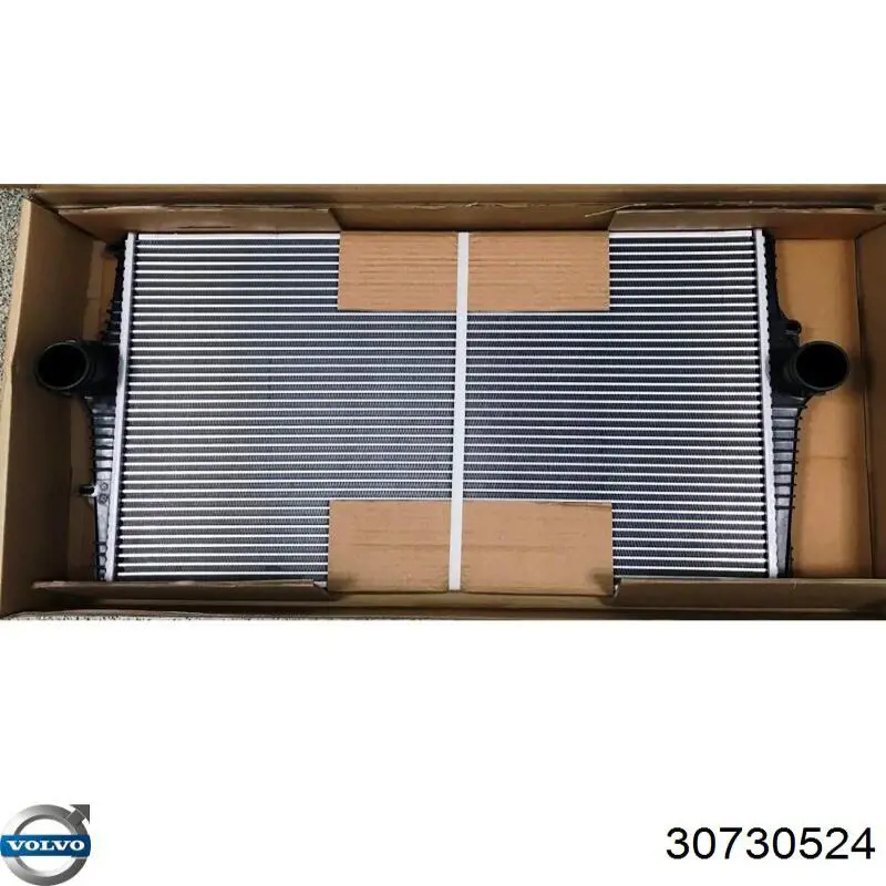 Enfriador de aire de admisión Volvo 30730524