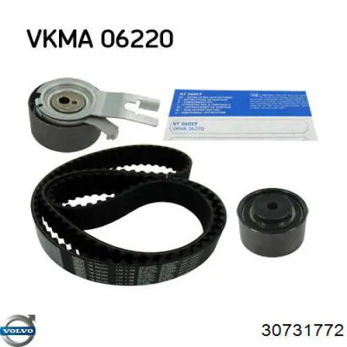 30731772 Volvo correa distribucion