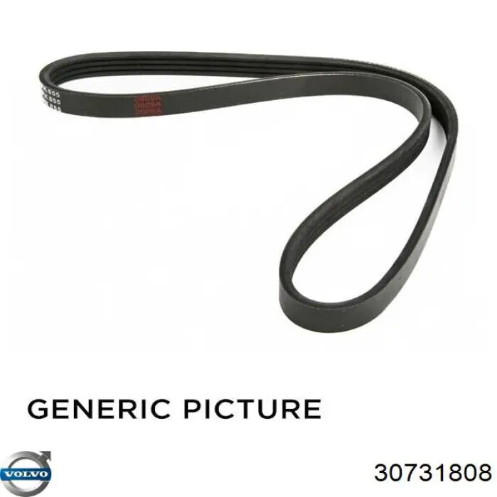 Comprar 30731808 Volvo Correa trapezoidal