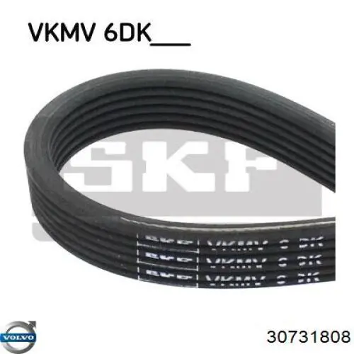 Correa de alternador 30731808 Volvo