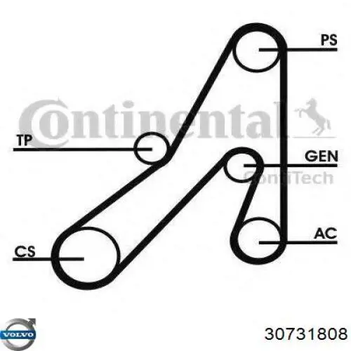 Correa de alternador 30731862 Volvo