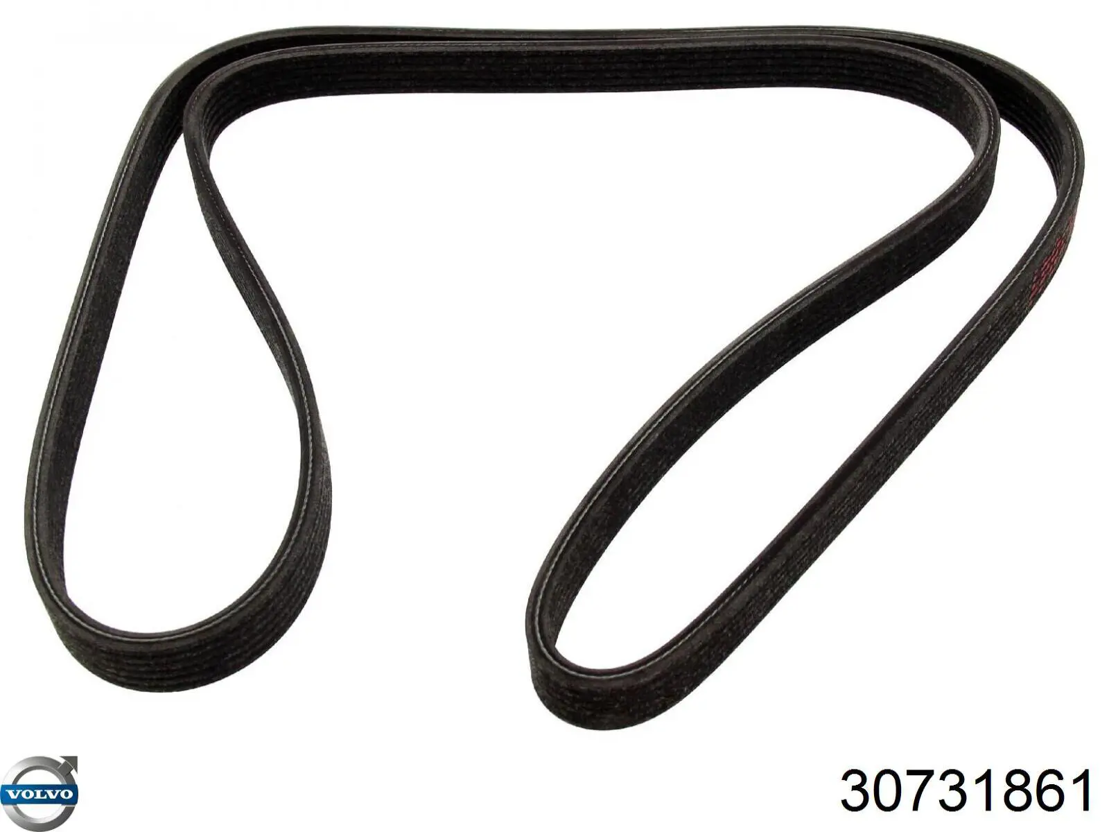 Correa trapezoidal nervada S60 I sedán (2000-2010) original desde 27,63 €