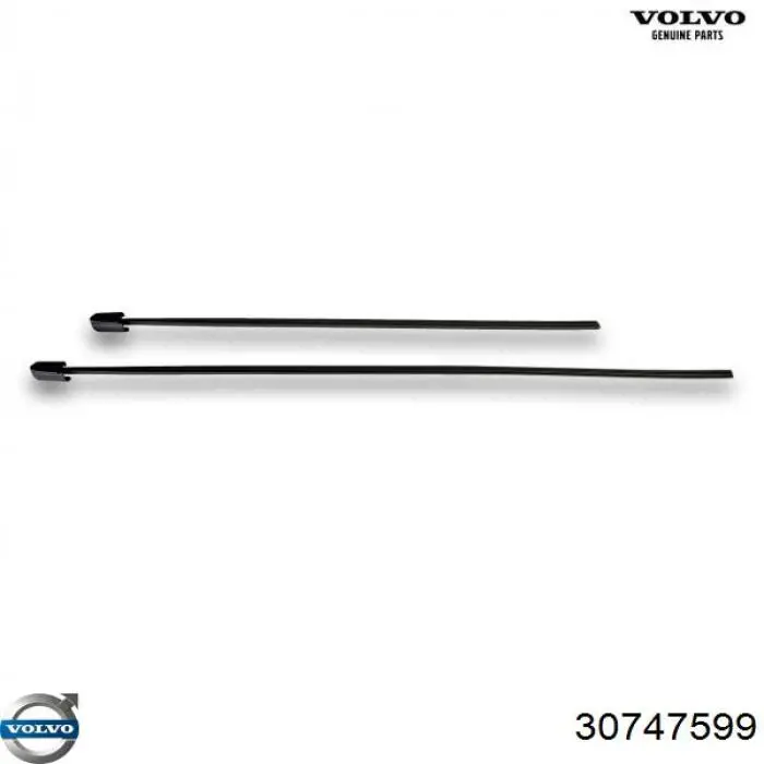 Limpiaparabrisas delanteras Volvo 30747599