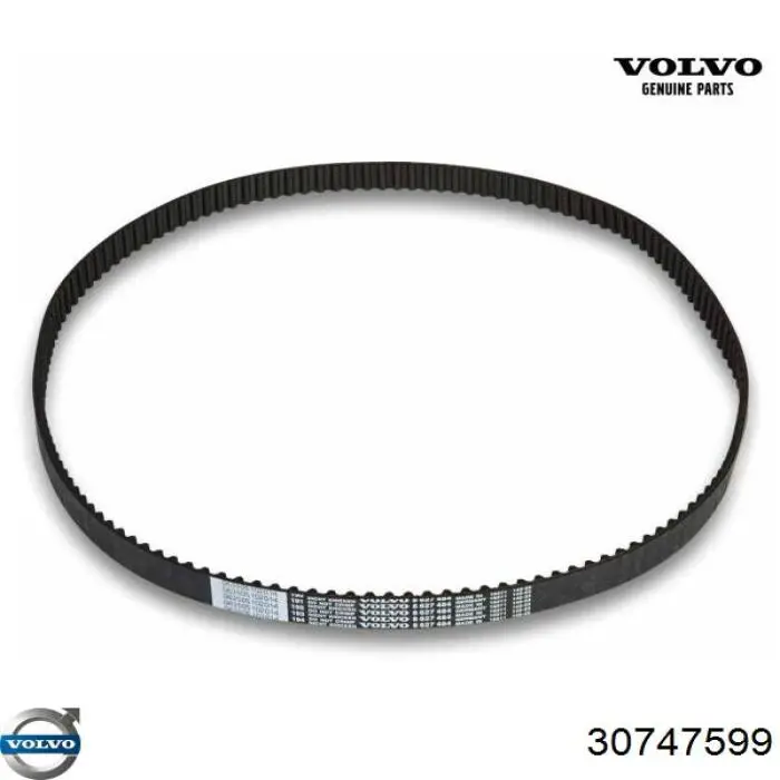Escobillas Limpiaparabrisas delanteras Volvo 30747599 precio, desde 49,28 EUR