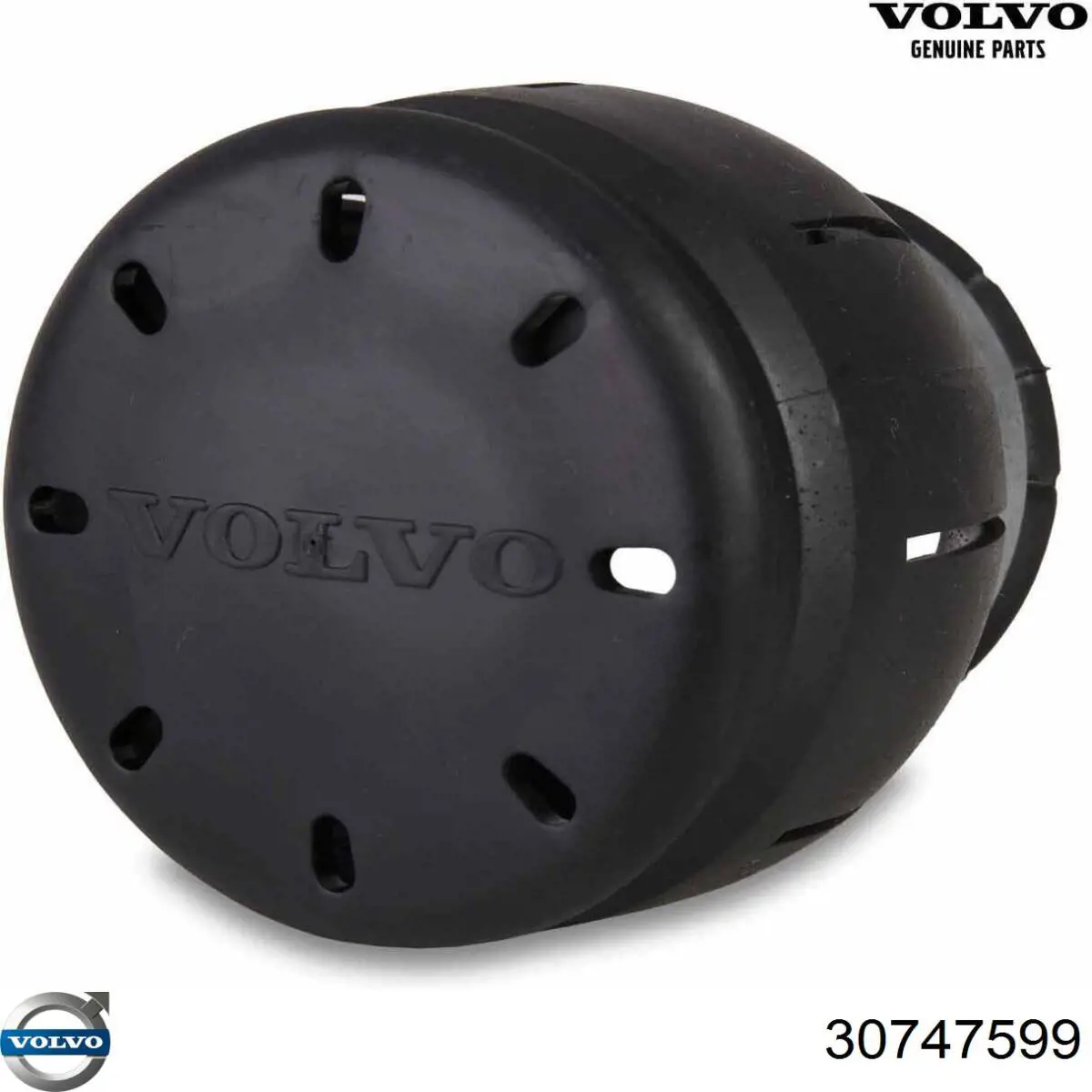 Limpiaparabrisas 30747599 Volvo