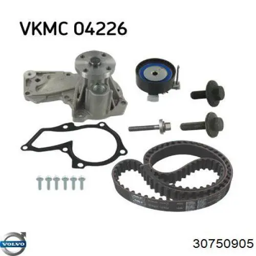 Tensor de la correa de distribución Volvo 30750905 precio, desde 28,93 EUR