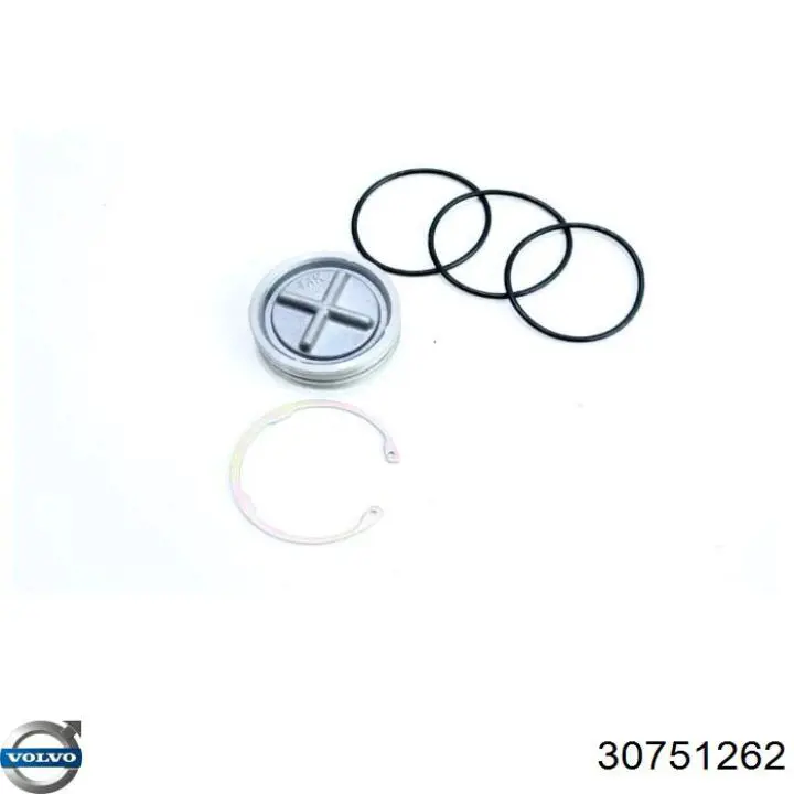 Comprar 30751262 Volvo 