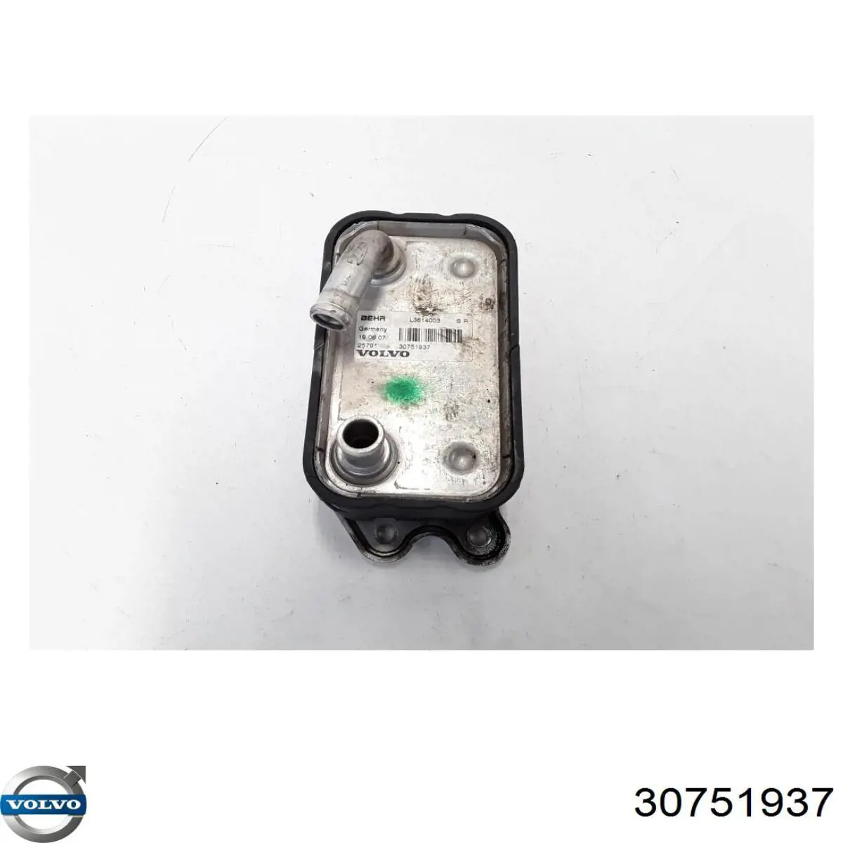 Radiador de aceite Volvo 30751937 precio, desde 43,75 EUR